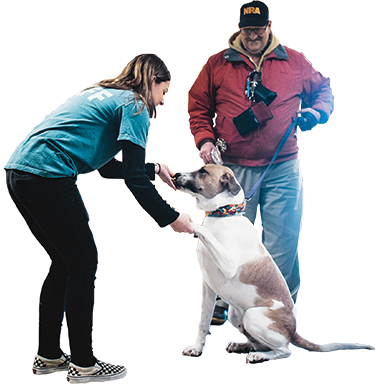 Puppy Shake - Greater Androscoggin Humane Society