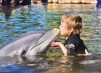 Kinzie with dolphin - Make-A-Wish Story Image