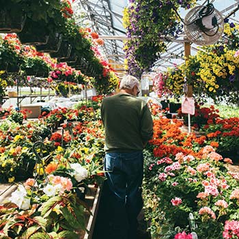 Farmer Whiting's Greenhouse - LA Metro Magazine Story