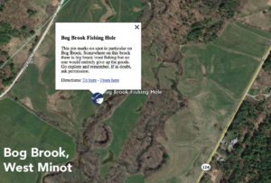 Bog Brook - West Minot Maine