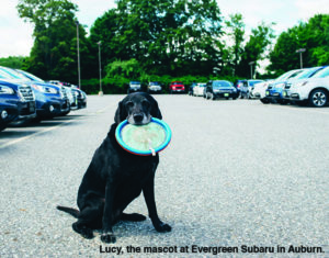 Lucy - Evergreen Subaru, Auburn, ME - LA Metro Magazine