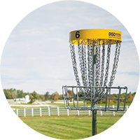 Disc Golf Basket at Pineland Farms