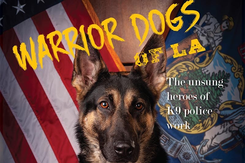 Warrior Dogs Of LA – The Unsung Heroes of K9 Police Work