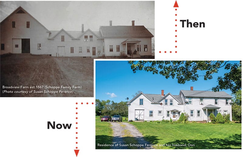 Broadview Farm - Then and Now - LA Metro Magazine