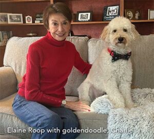 Elaine Roop With Charlie the Goldendoodle