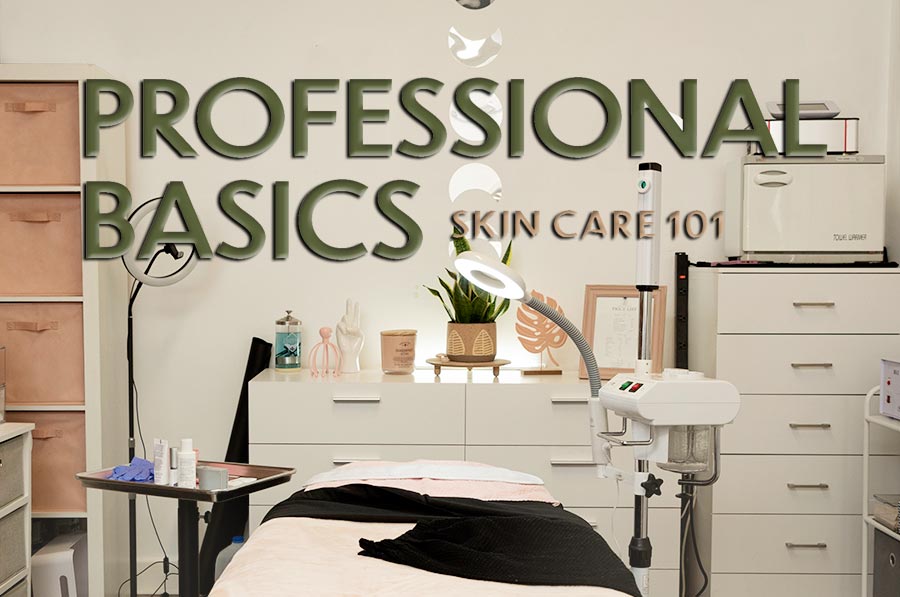 Professional  Basics – Skin Care 101