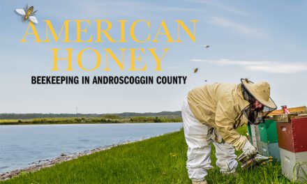 American Honey – Beekeeping in Androscoggin County