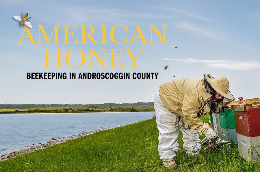 American Honey – Beekeeping in Androscoggin County